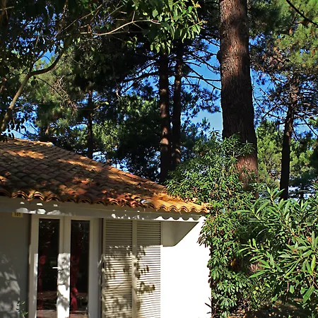 Kilina 3* Porto Vecchio